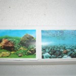 aquarium poster